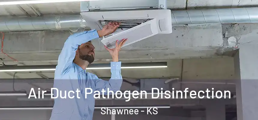 Air Duct Pathogen Disinfection Shawnee - KS