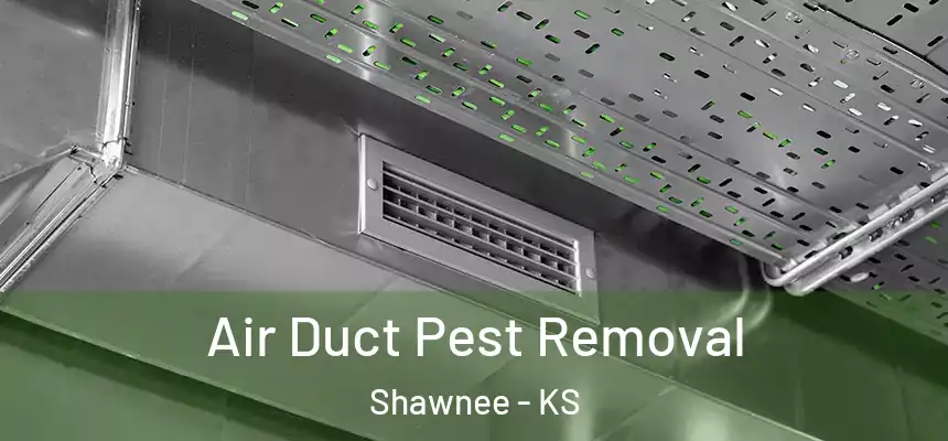 Air Duct Pest Removal Shawnee - KS