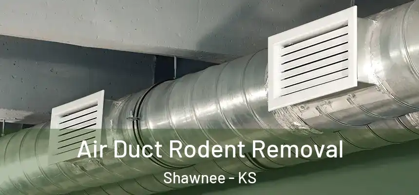 Air Duct Rodent Removal Shawnee - KS
