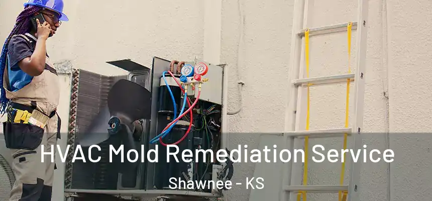  HVAC Mold Remediation Service Shawnee - KS