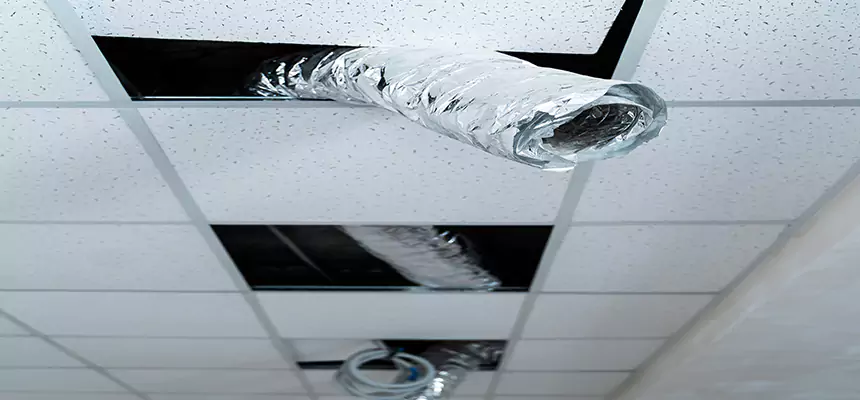 Our Air Duct Pet Hair Removal Services in Shawnee, KS