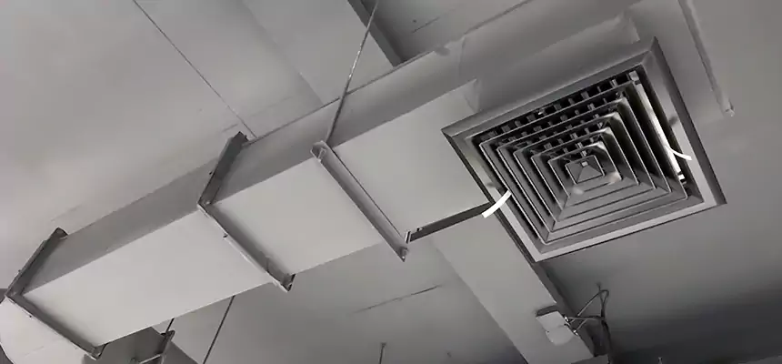 Our Pest Removal From Ducts Services in Shawnee, KS