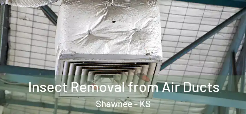  Insect Removal from Air Ducts Shawnee - KS