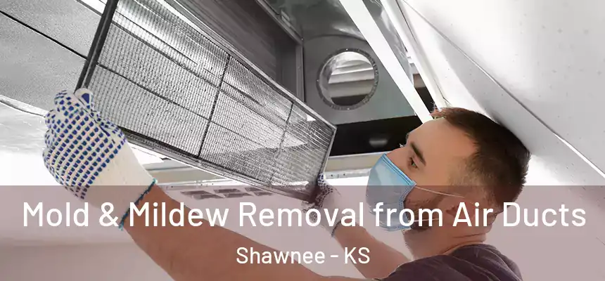 Mold & Mildew Removal from Air Ducts Shawnee - KS