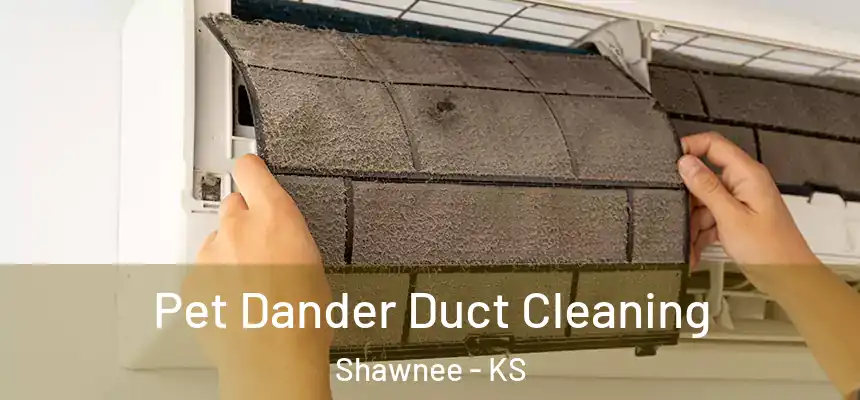 Pet Dander Duct Cleaning Shawnee - KS