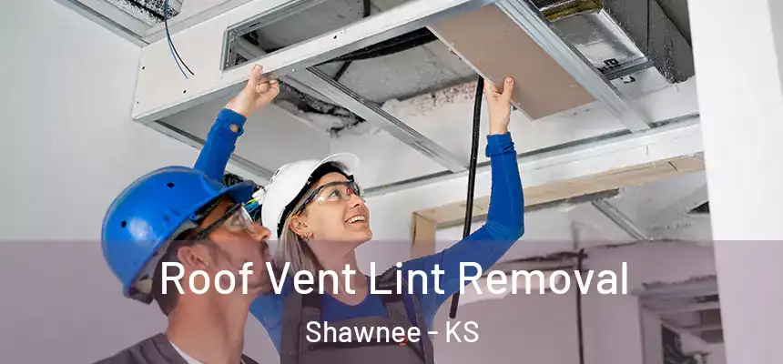  Roof Vent Lint Removal Shawnee - KS
