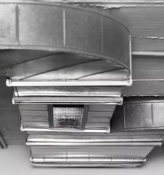 Professional Air Duct Pet Hair Removal in Shawnee, KS