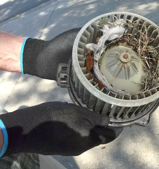 About Air Duct Rat Removal in Shawnee, KS