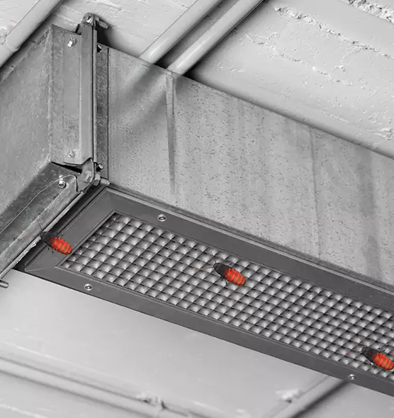 Affordable Insect Removal from Air Ducts in Shawnee, KS