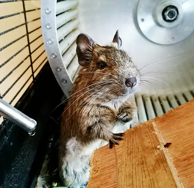 Why Homeowners & Businesses Trust Us Shawnee, KS