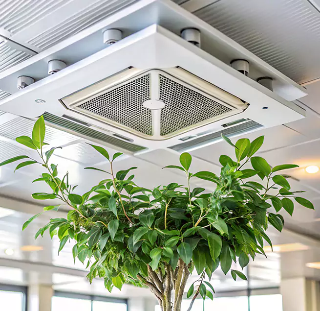 Why Homeowners & Businesses Trust Us in Shawnee, KS