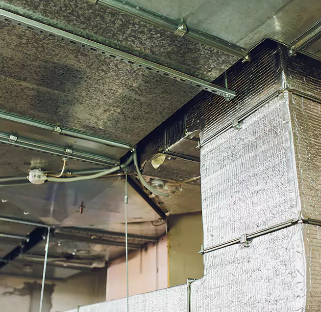 Why Homeowners & Businesses Trust Us in Shawnee, KS?